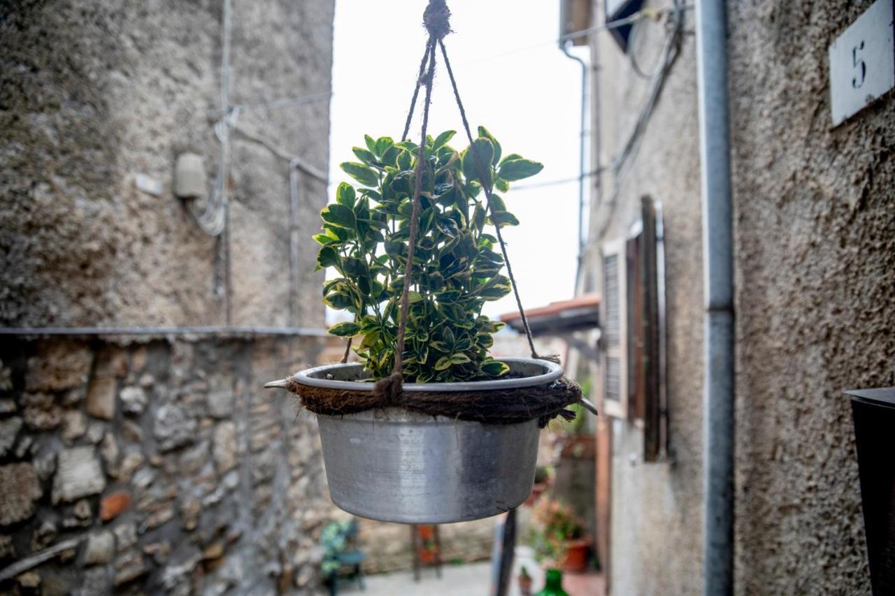 Dimora Turistica De' Piazza Hotel Roccalvecce Exterior foto