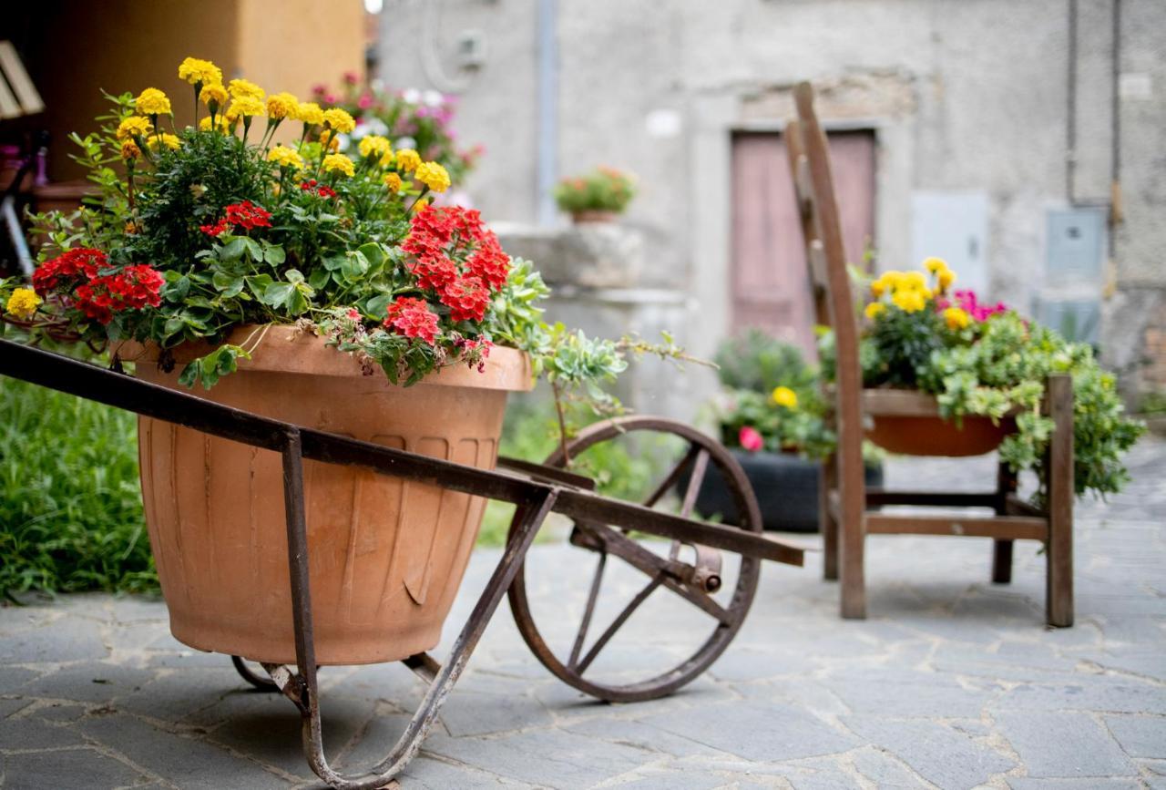 Dimora Turistica De' Piazza Hotel Roccalvecce Exterior foto